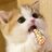 RrpBo's profile image