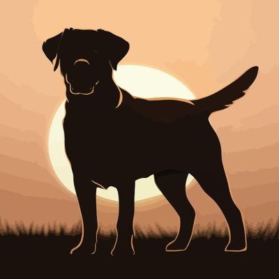 LabONE320's profile picture. It’s all about sports. My Black Lab runs the show over here. We enjoy the Arizona Cardinals and the Kansas City Royals. #BirdGang #FountainsUp