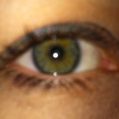 TitsMcGeeky's profile picture. just here for blatant self exposure