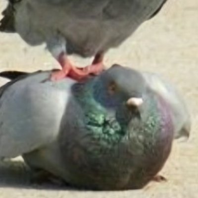와우 슈퍼さんのプロフィール画像