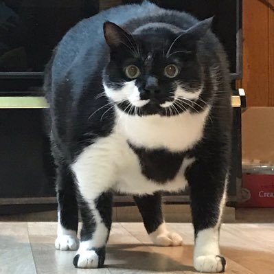 하이드록さんのプロフィール画像