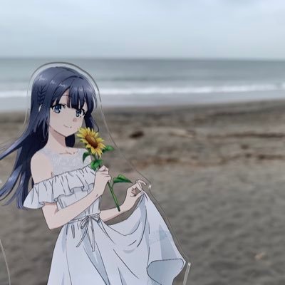 エルカ⚡️さんのプロフィール画像