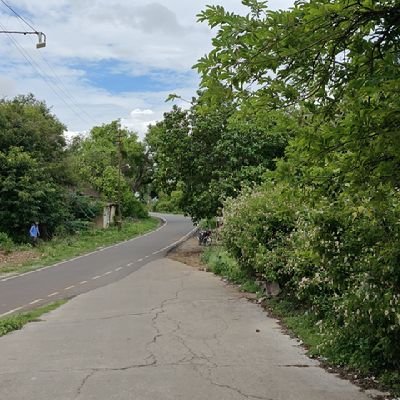 Ram50267795's profile picture. 