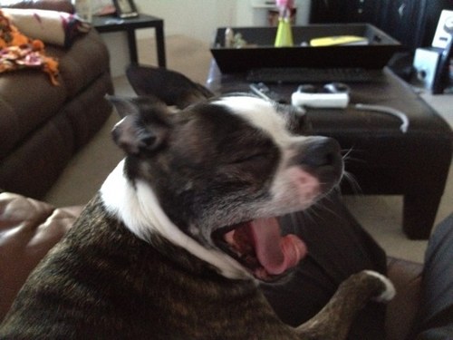 MichaelLargess's profile picture. 