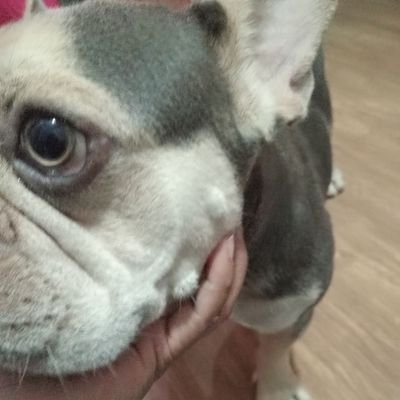 Elbiexx's profile picture. Unapologetically ambitious ✨