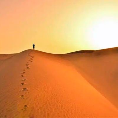 SalaamZaad's profile picture. 