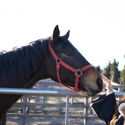 maimai (@maimax1828mai) / Posts / X