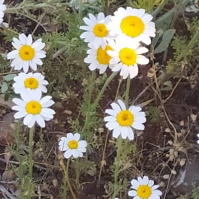 hllkrkc_'s profile picture. Mutsuz yaşamanıza neden olan hiçbir şey için savaşmayın. Yolunuzu değiştirin. Bu, pes etmek değildir. Sadece bazı şeyler savaşmaya, uğraşmaya değmez...