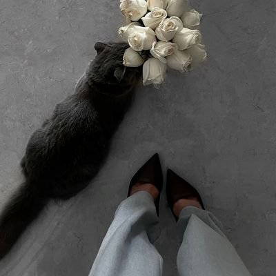 كما تُدين تُدان 🍂
فلا تؤذي أحداً فتُبتلى 🕊.