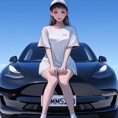 Tesla|Elon Musk|Model 3|Car Modification|X|Mom|Lisa's Owner|