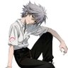 stornic56's profile picture. /home