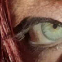 Debbie Holden (@debshol50) 's Twitter Profile Photo