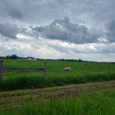 WatchesAnna's profile picture. The Creator gets the credit. Grass withers, flowers fall 🥀 but the Word of God endures forever. ✝️