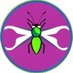 The Bug Report (@0xbugreport) Twitter profile photo The Bug Report (@0xbugreport) Twitter profile photo