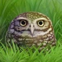 kovacsviktor25's profile picture.
