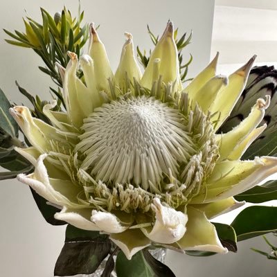 LiliiaMalon's profile picture. 