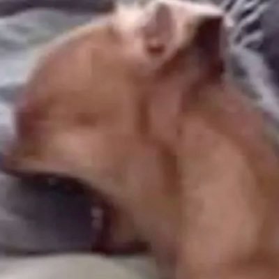 moneybagggro's profile picture. Here for a good time not a long time Virgo shit ♍️