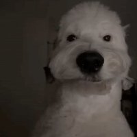 Skyrimmyz (@skyrimmyz) 's Twitter Profile