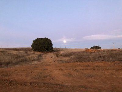 ConradoVen4317's profile picture. 