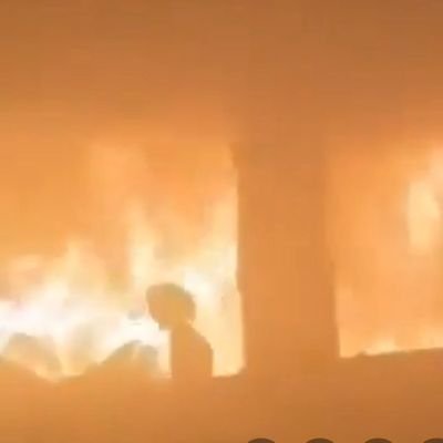 C17O21NO4's profile picture. 