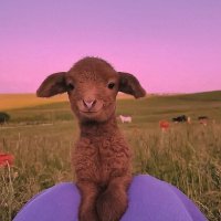 hûmeyra 🍉 (@tacularus) 's Twitter Profile