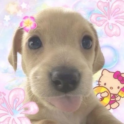 cloverisk's profile picture. 19!! 13- dni |alt that’s gonna be my main but my other alt is my main no idea | bsdtwt