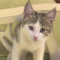 h (@hqarabaliq) Twitter profile photo