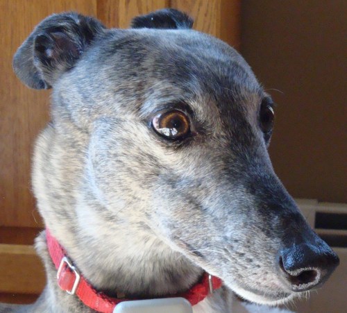 Michelle_Funaro's profile picture. 