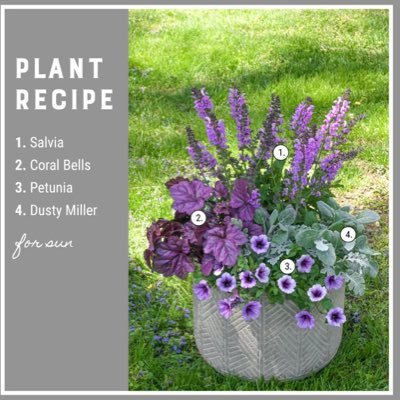 LollieandCo's profile picture. 