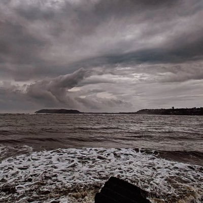 t20trooper's profile picture. 