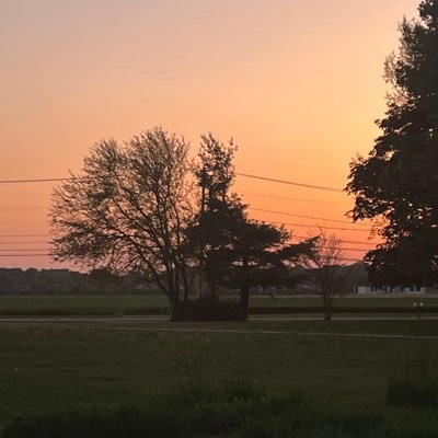 nataliee2512's profile picture. 