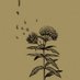 Milkweed (@burningghat) Twitter profile photo Milkweed (@burningghat) Twitter profile photo