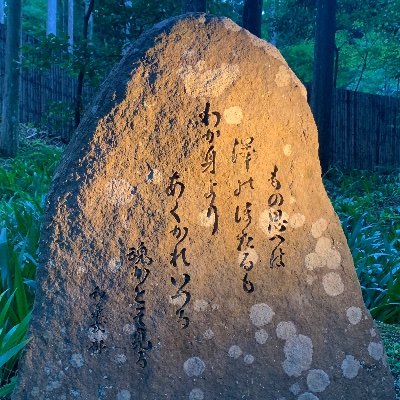 SZy30713_solve's profile picture. 2025年5月 『解決の悪魔』日本に上陸