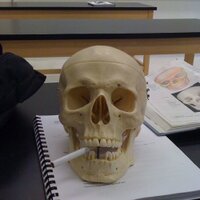 Anthony (@yourboytony_s) 's Twitter Profile