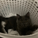 Jesse Ford - @fartmaster6969b - Twitter