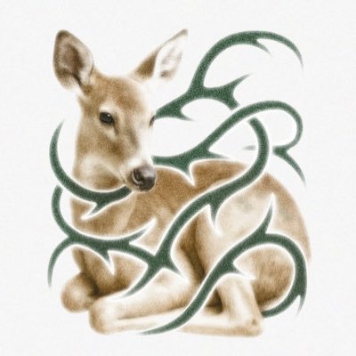 damnaj_'s profile picture. 