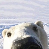 GreyB2 (@gr3yb2) 's Twitter Profile Photo