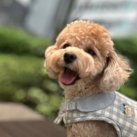 Joon (@joon1222269) 's Twitter Profile