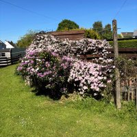 Responder1967 (@responder16289) 's Twitter Profile Photo