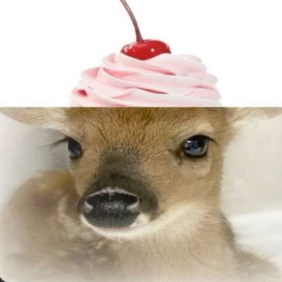 warriorcatlemon's profile picture. oink oink