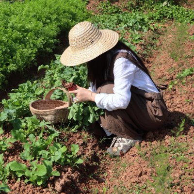 In my spare time, I like to explore various vegetables in the garden, looking at the vegetables I planted with my own hands, and feeling a sense of accomplishme