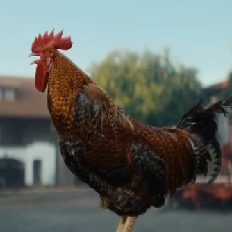 missuzunaki's profile picture. DM fee: $5