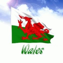 I'm a Welsh girl,big fan of welsh rugby,favourite player leigh halfpenny. favourite series is chicago fire and all time favourite Chip's and Tj hooker.