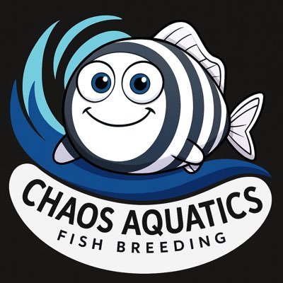 Veefriends Brilliant Barb | AKA @formedchaos | Fish tank geek | Dwarf rainbowfish & corydora catfish fan | Breeding and Fish Keeping | #AquariumLife