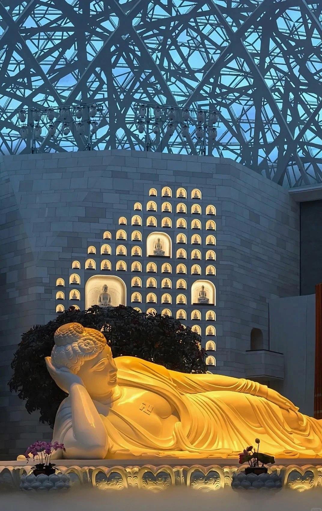 RauferSara66669's profile picture. Horseback rider, exploring trails. Seeking a partner to go on equestrian adventures and bond with horses.