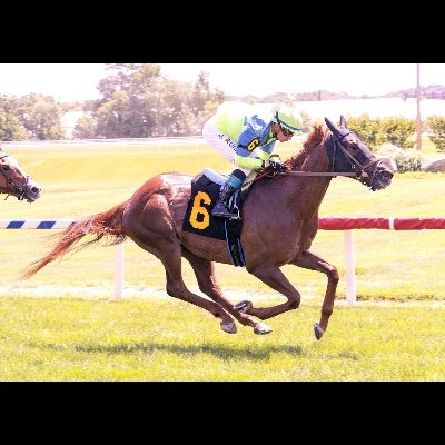 racingkazman's profile picture. Harry Kassap