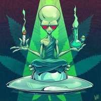 Yung Herb (@yungh83441) 's Twitter Profile