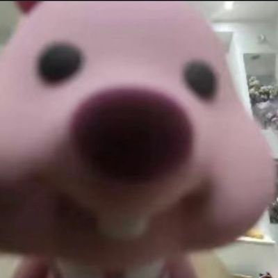 KsMksn0729's profile picture. 