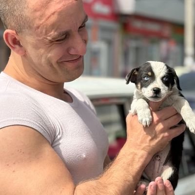 Every creature was created to be loved and cared for that is we help stray animals and better lives too,and this is done in different ways. Join us to help them