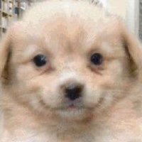 ezra (@3aprxan) 's Twitter Profile